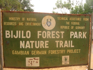 04Bijilo Forest 031