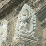 Angkor Wat Monkey