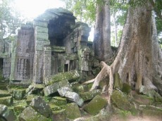 Angkor Ruin