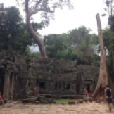 Angkor Jungle