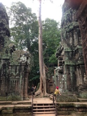 Angkor Wat Jungle