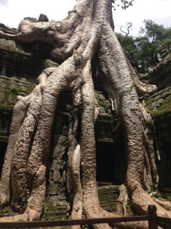 Angkor Wat - Jungle Temple