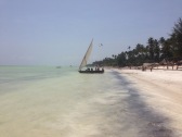 Zanzibar (1)