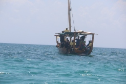 Zanzibar (1073)