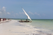 Zanzibar (610)-542