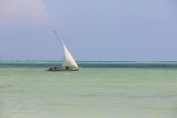 Zanzibar (791)-724