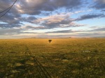 Serengeti Dawn