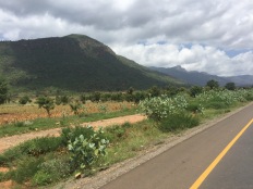 Usumbara Mountains